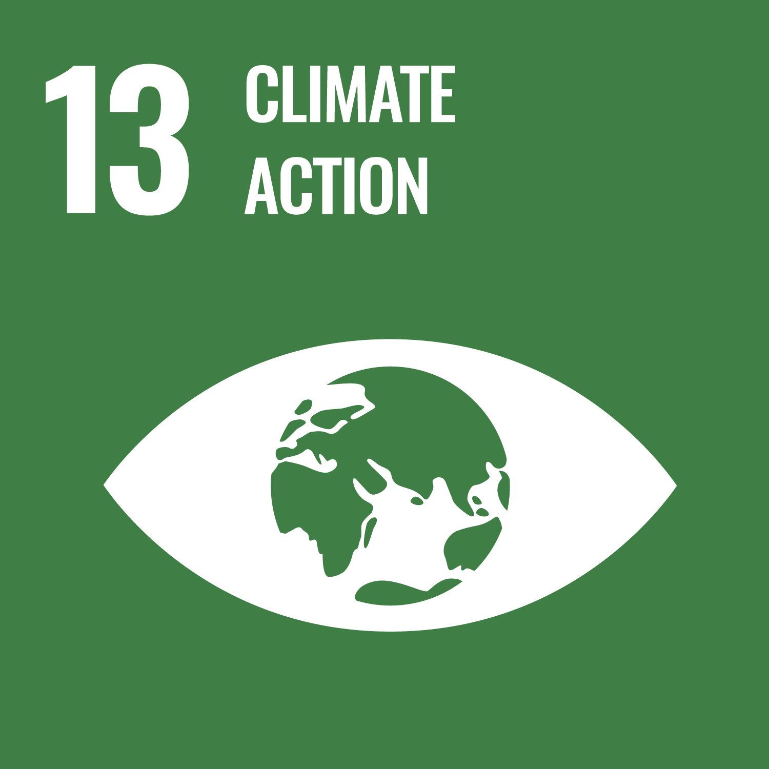 13. CLIMATE ACTION icon