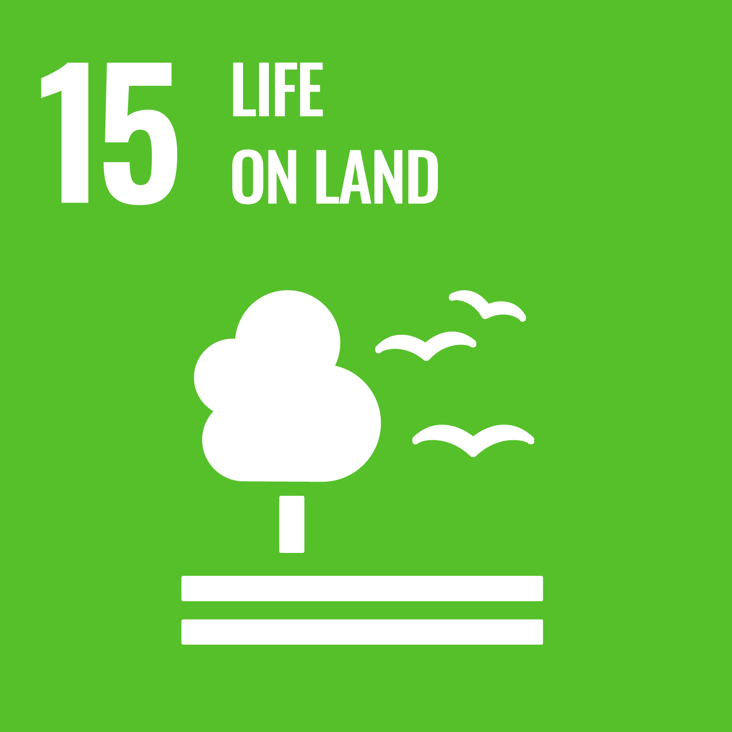 15. LIFE ON LAND icon